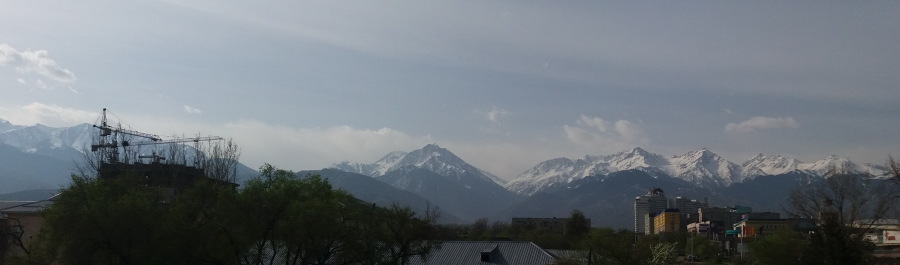 photo 1272018