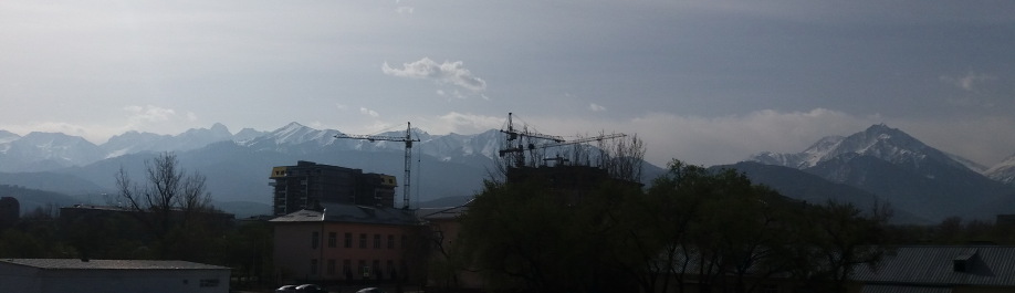 photo 1272019