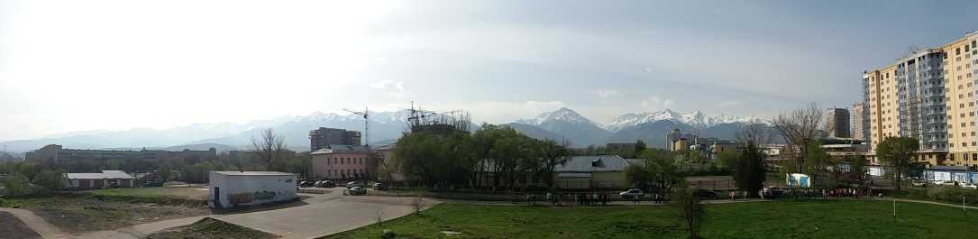 photo 1272022