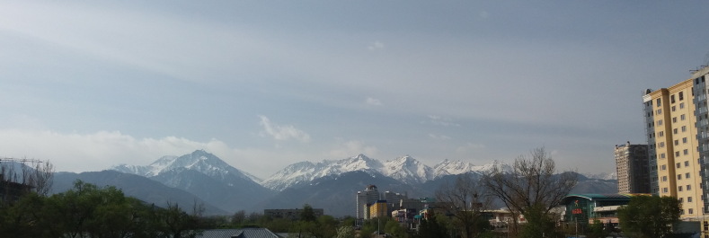 photo 1272023