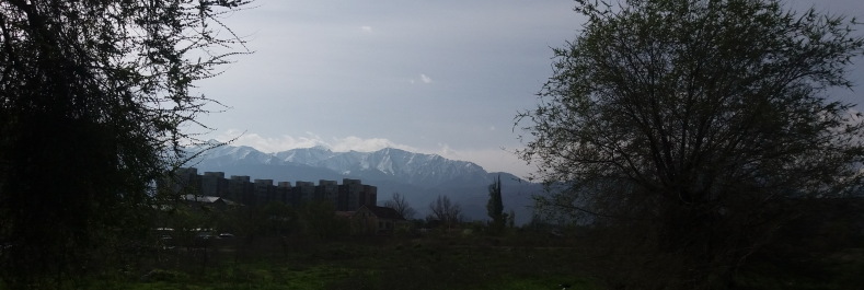 photo 1272024