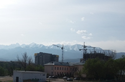 photo 1272025