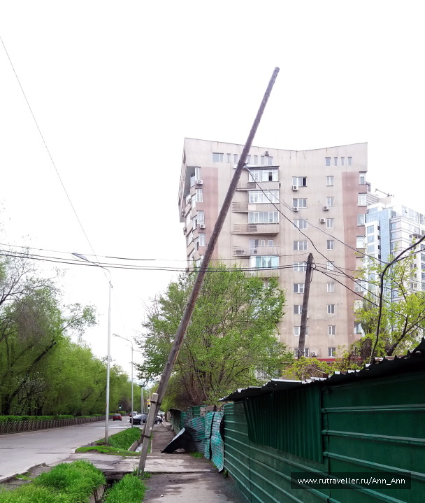 photo 1273456