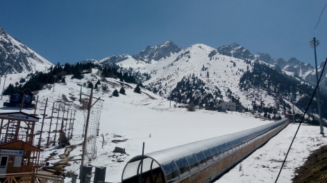 photo 1279423