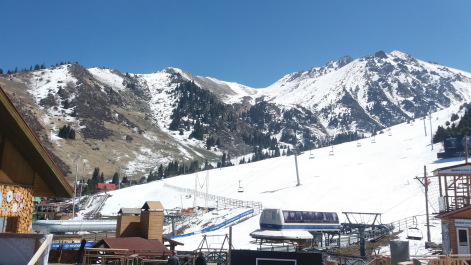 photo 1279424