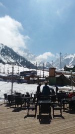 photo 1279446