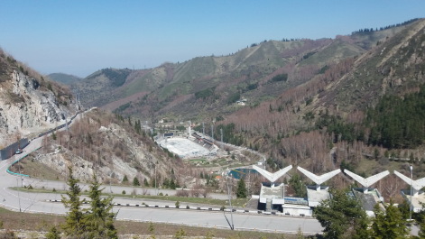 photo 1279441