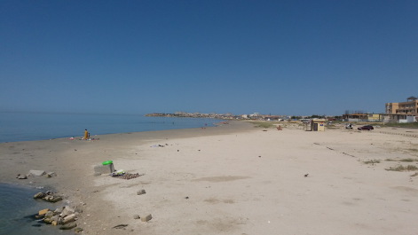 photo 1360311