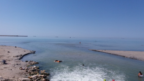 photo 1360313