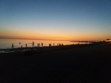 photo 1360335