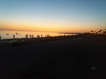 photo 1360336