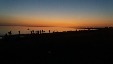 photo 1360339