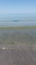photo 1360341