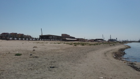 photo 1360343