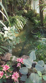 photo 1443415