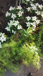 photo 1443417