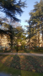 photo 1453968