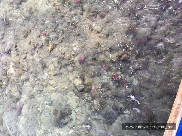 photo 1616854