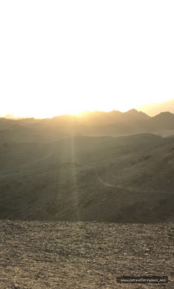 photo 1618255