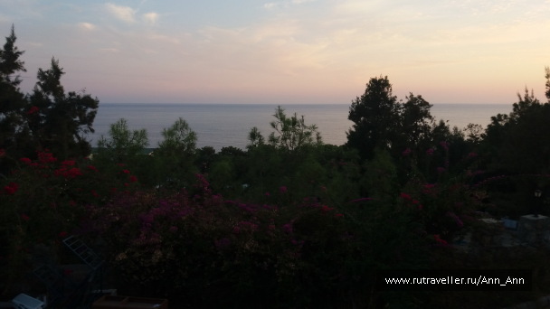photo 1698638
