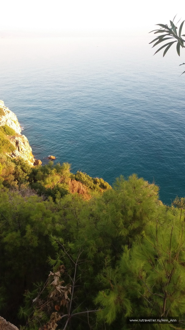 photo 1698640
