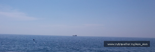 photo 1698978