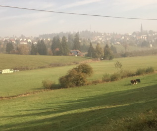 photo 1694035