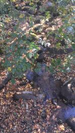 photo 1697666