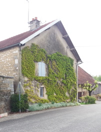 photo 1766667