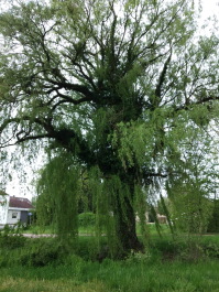 photo 1767805
