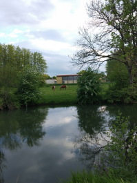 photo 1769112