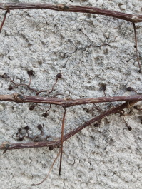 photo 1769119