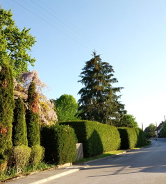 photo 1772623