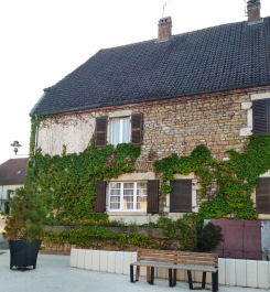 photo 1774066