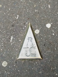 photo 1772415