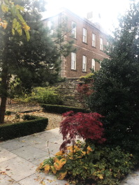photo 1816106