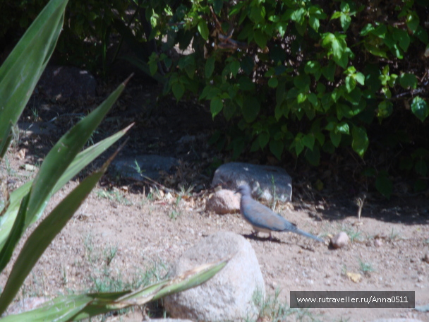 photo 564159