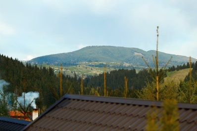 photo 1305743