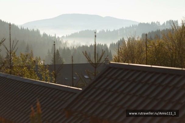 photo 1305749