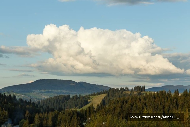 photo 1305752
