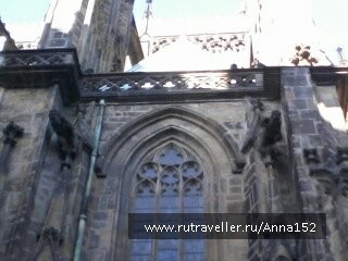 photo 211028