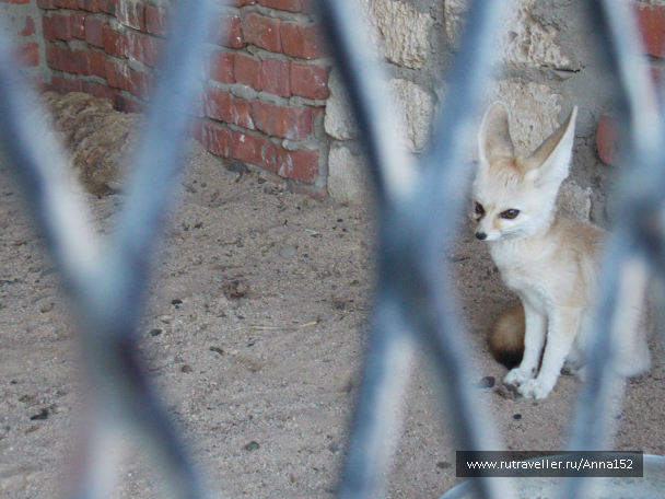 photo 649342
