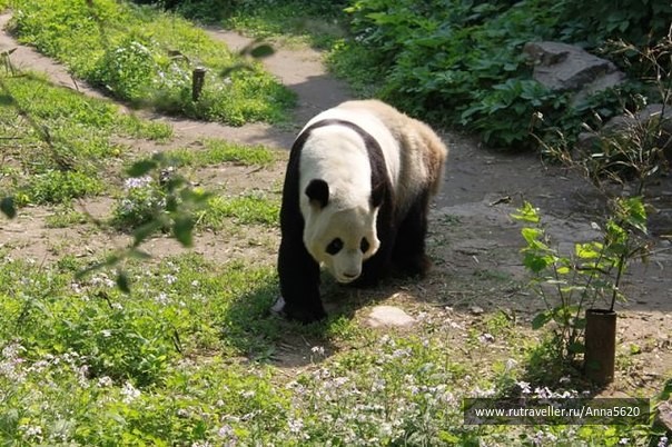 photo 226183
