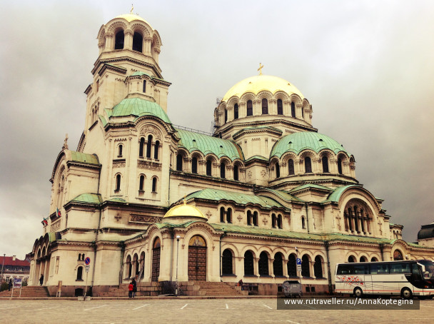 photo 1171694