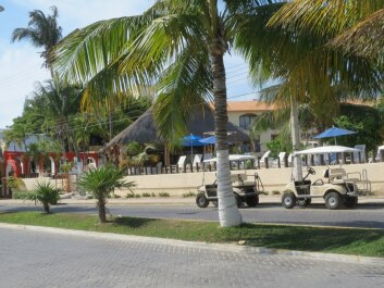 photo 436789