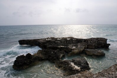 photo 436796