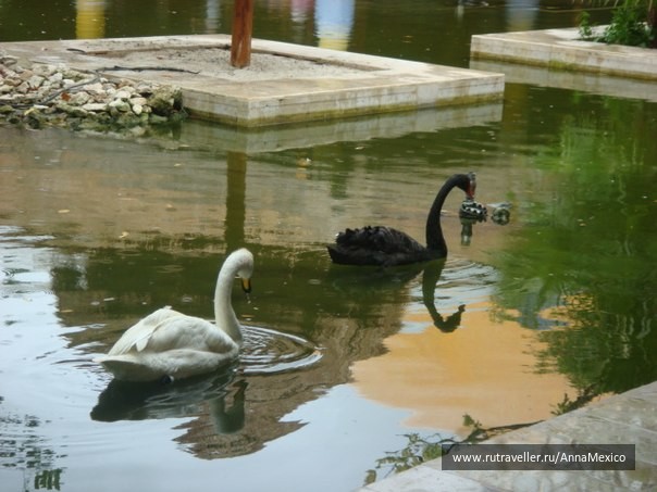 photo 441283