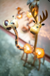 photo 596812