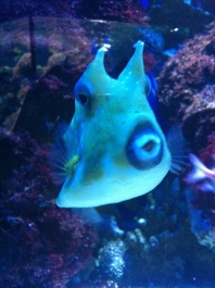 photo 567777