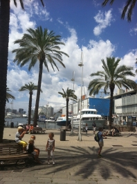 photo 567769